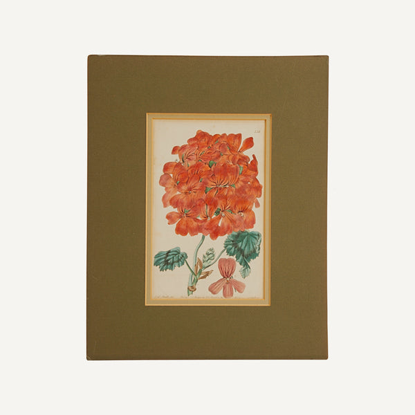 ANTIQUE FLORAL WATERCOLOR